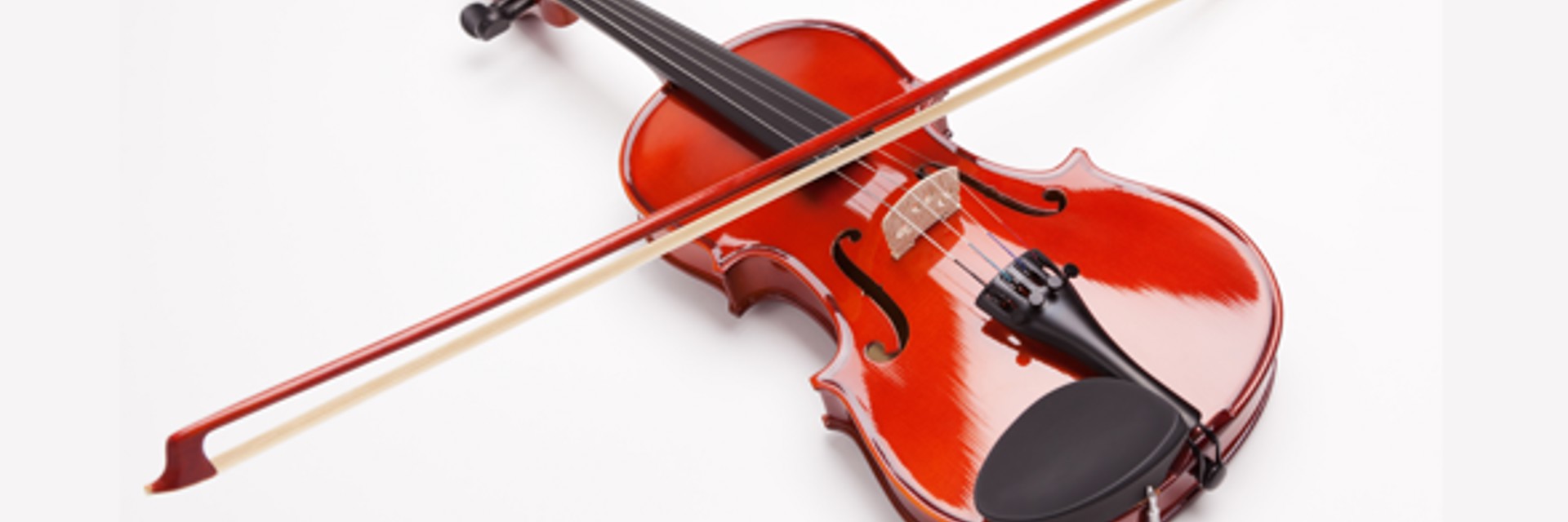 afgår protektor hævn Violin | Næstved Musikskole