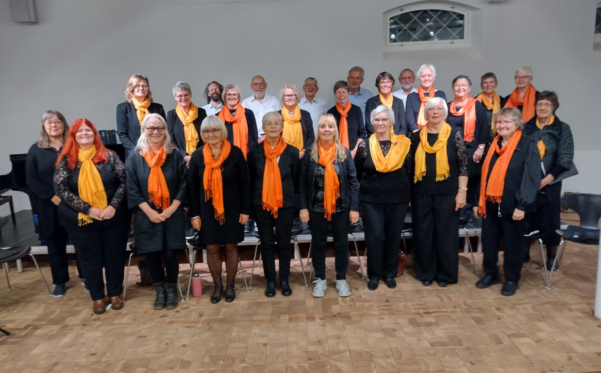 Voksenkor opstillet til fotografering